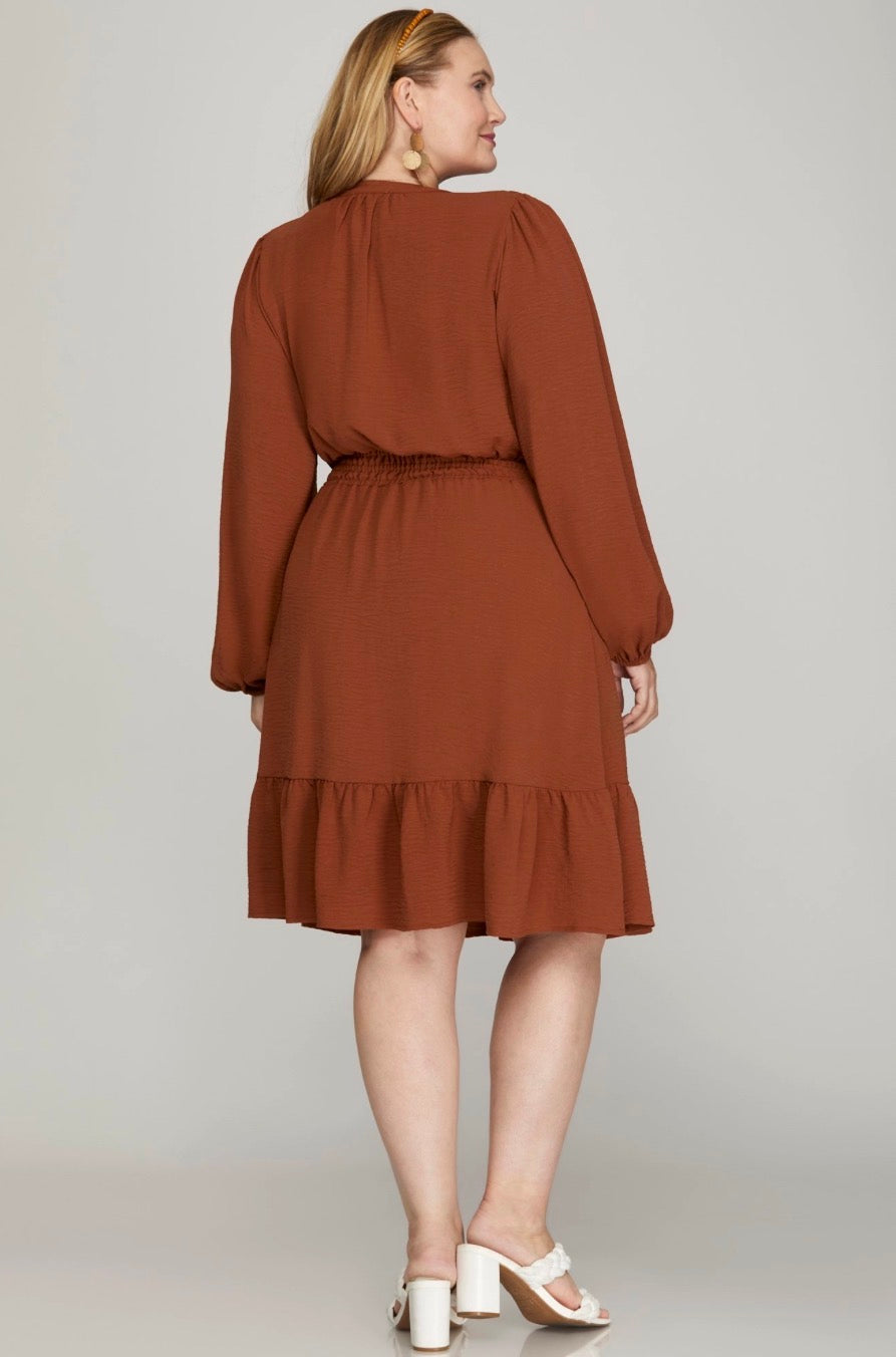 Women's Cinnamon A-Line Long Sleeve Dress