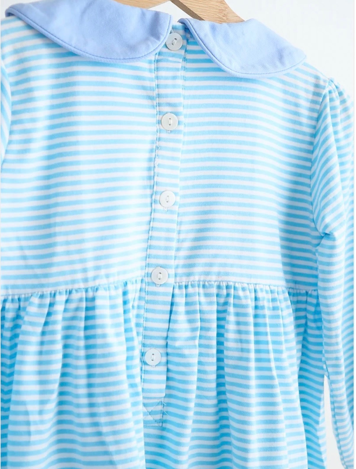 Blue Smocked Puppy Dress