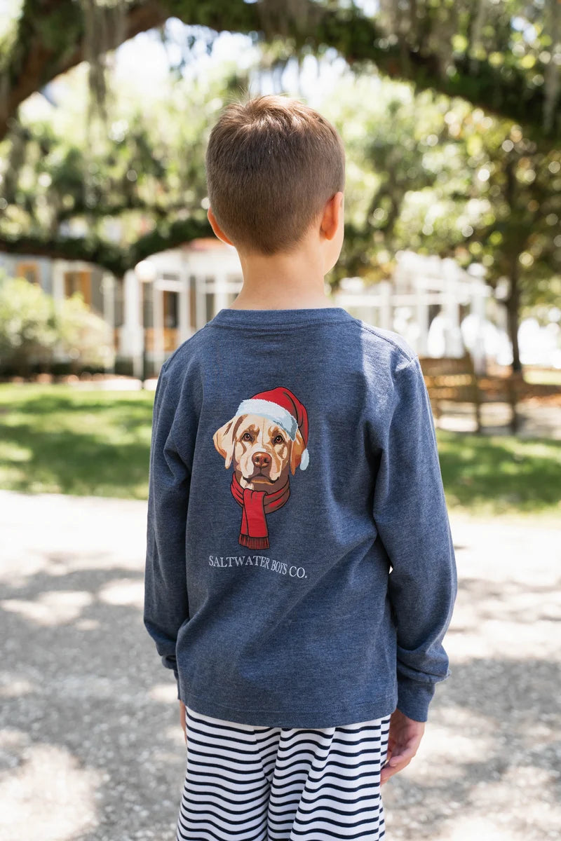 Boys' Christmas Lab Long Sleeve Tee – Heather Blue