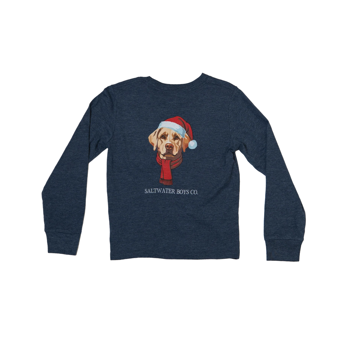 Boys' Christmas Lab Long Sleeve Tee – Heather Blue