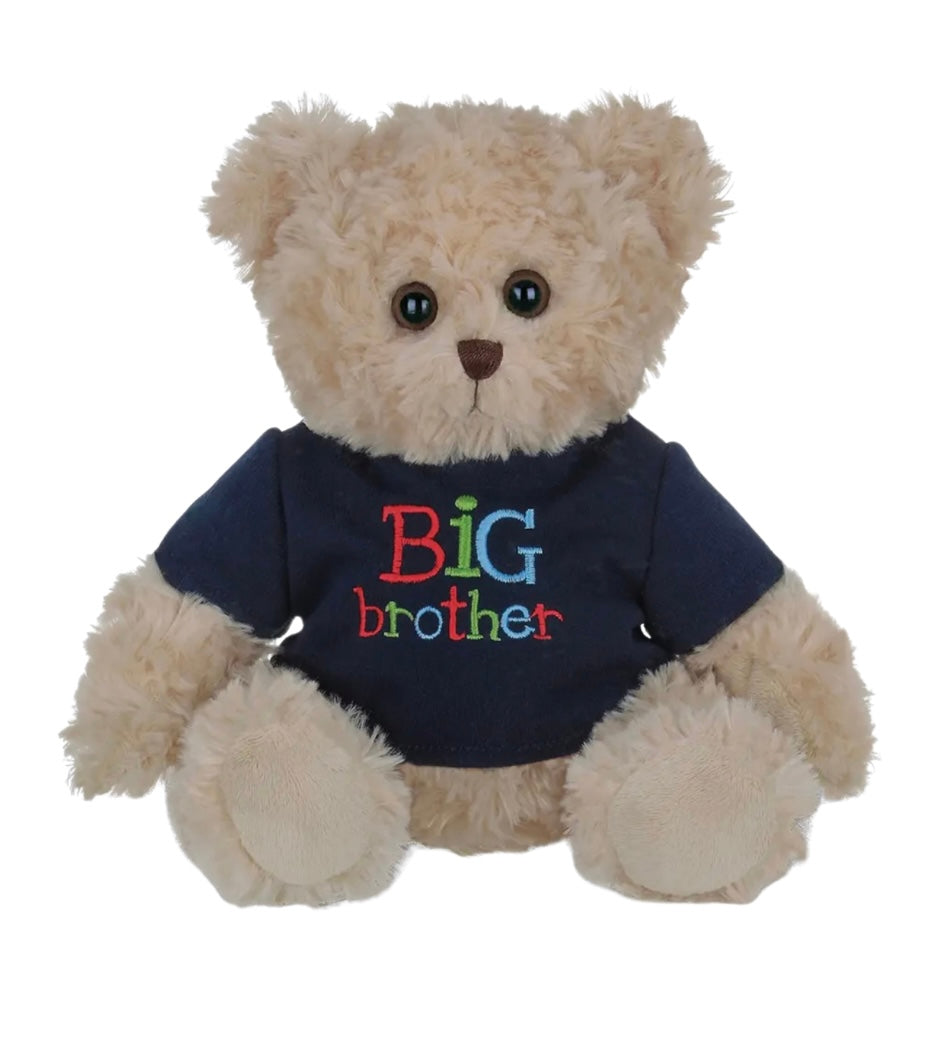 Big Brother Teddy Bear